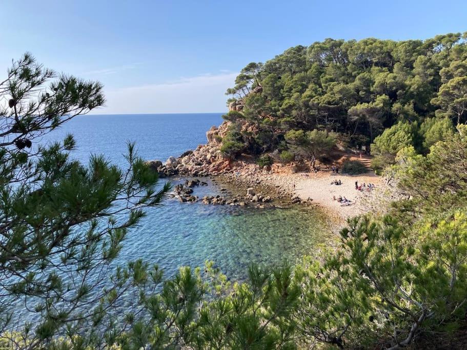 Bandol Roc Beach Vue Mer Grand T3 Face A La Plage Avec Parking Exteriör bild